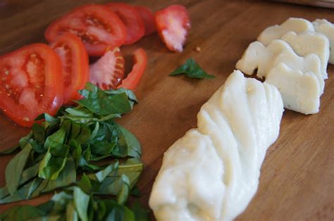 Discovering the Enchantment of Mozzarella: A Cheese-Lover's Delight